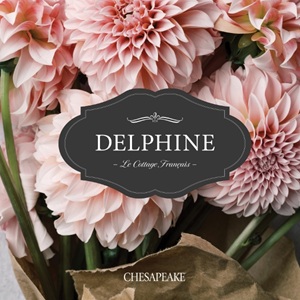 Chesapeake Delphine Wallpaper Book by Brewster Wallcoverings